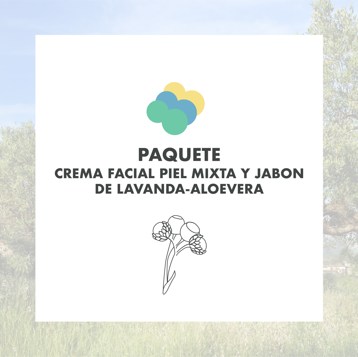 CREMA FACIAL PIEL MIXTA Y JABON DE LAVANDA-ALOEVERA