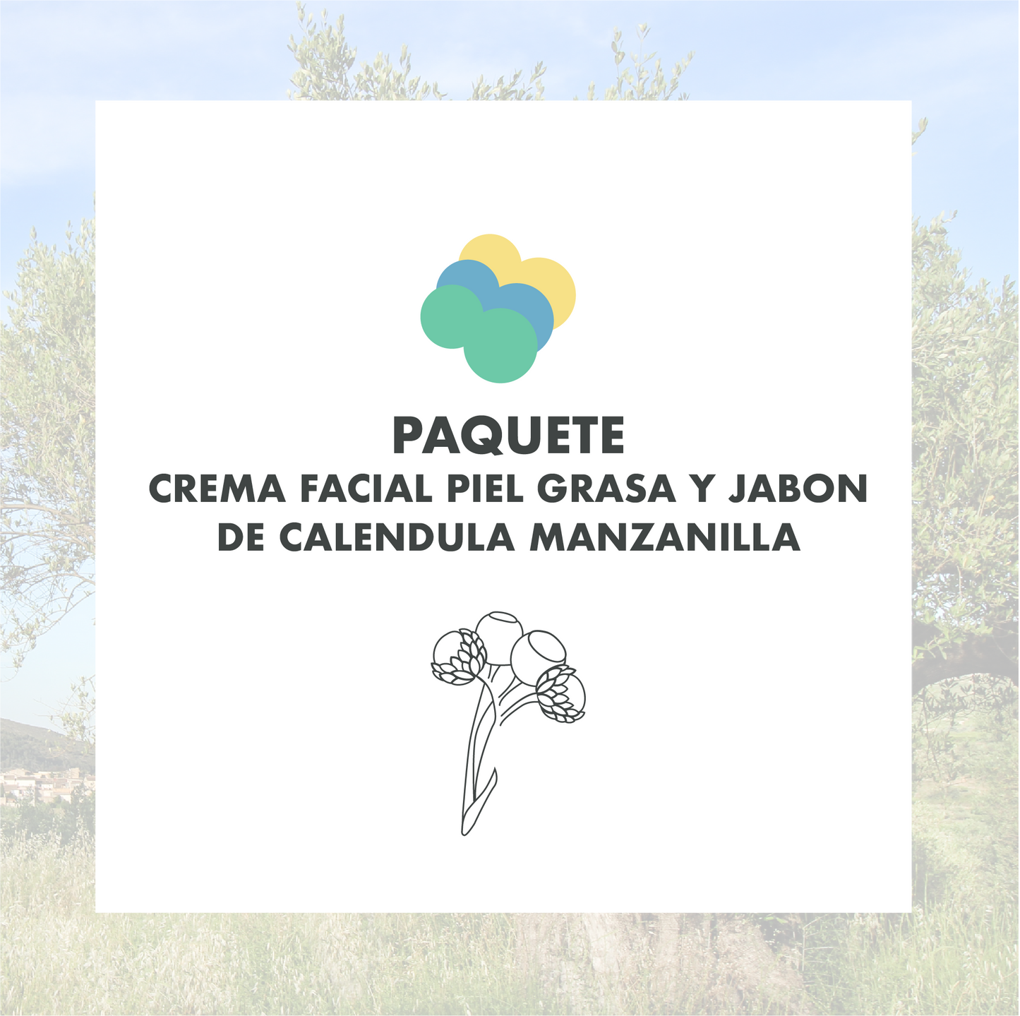 CREMA FACIAL PIEL GRASA Y JABON DE CALENDULA MANZANILLA