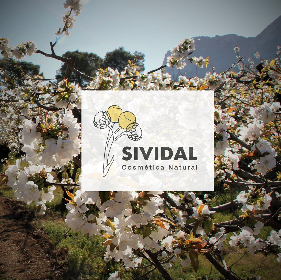 BENEFICIOS DE VIVIR EN EL MEDIO RURAL
