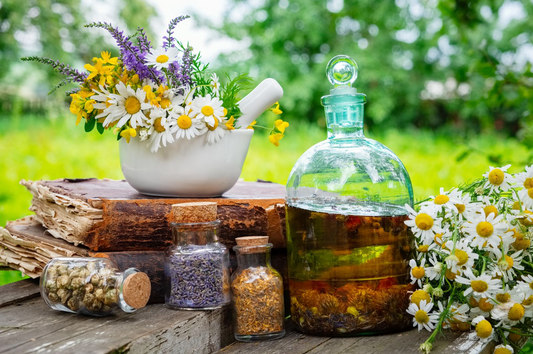 LA CULTURA MEDITERRÁNEA Y LAS PLANTAS MEDICINALES VIENEN LIGADAS DURANTE SIGLOS
