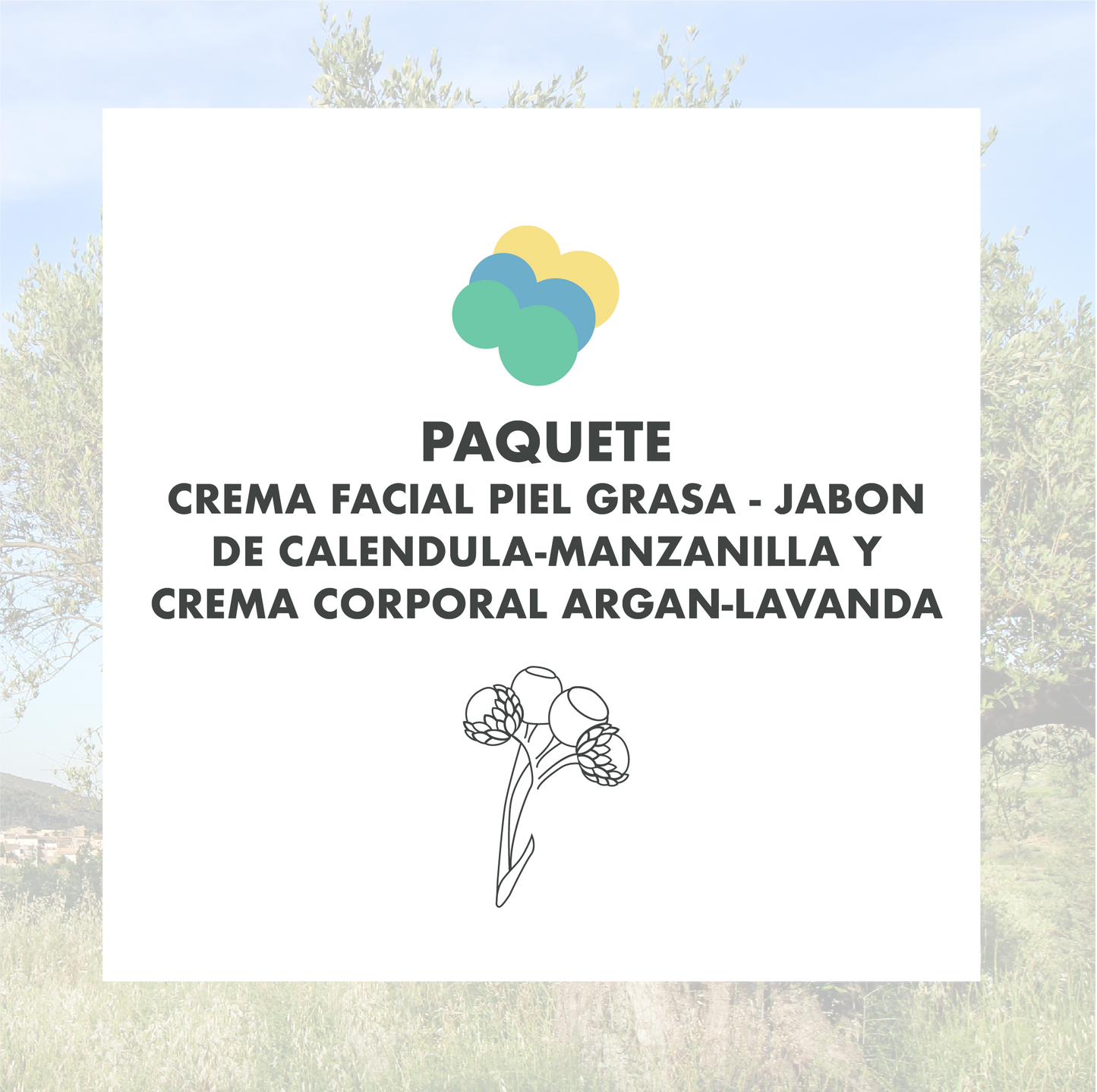 CREMA FACIAL PIEL GRASA - JABON DE CALENDULA-MANZANILLA Y CREMA CORPORAL ARGAN-LAVANDA