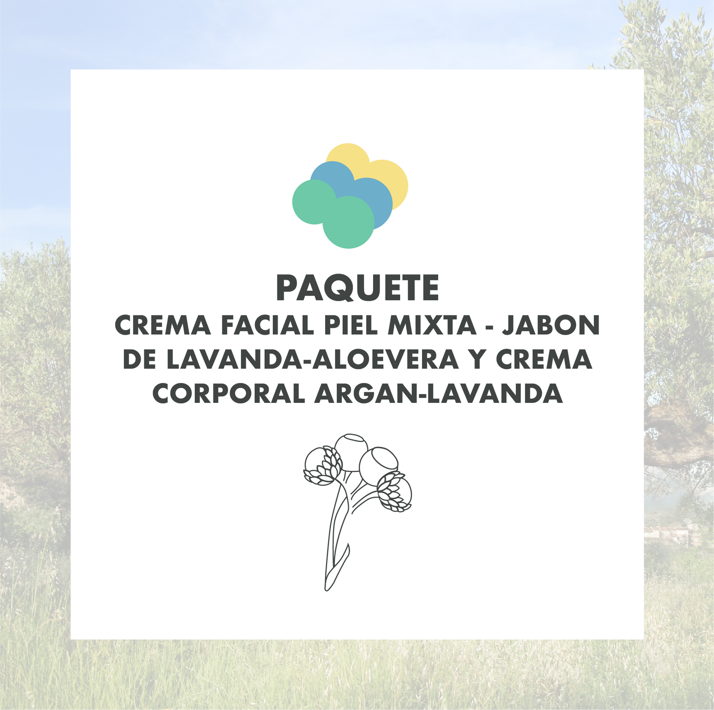 CREMA FACIAL PIEL MIXTA - JABON DE LAVANDA-ALOEVERA Y CREMA CORPORAL ARGAN-LAVANDA